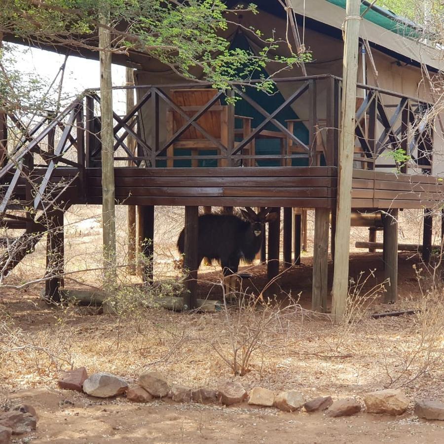 Kelora Bush Camp Hotel Ходспруит Екстериор снимка