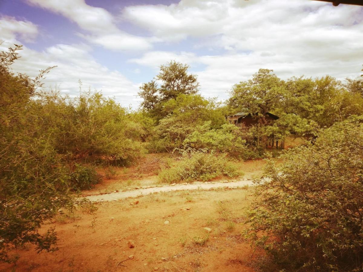 Kelora Bush Camp Hotel Ходспруит Екстериор снимка