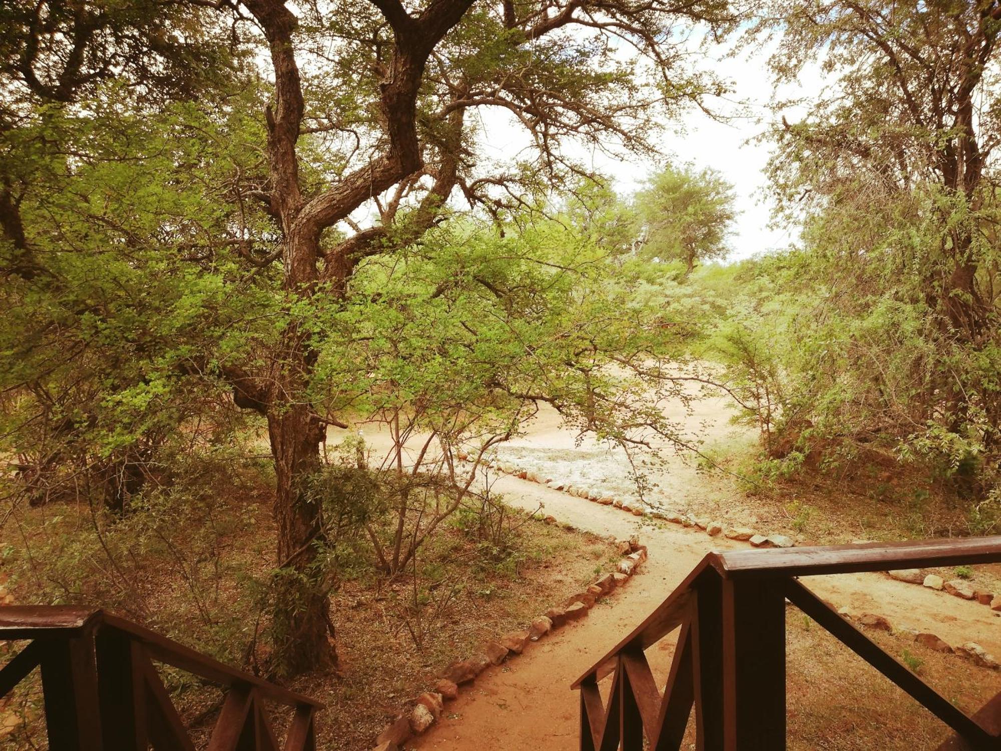 Kelora Bush Camp Hotel Ходспруит Стая снимка
